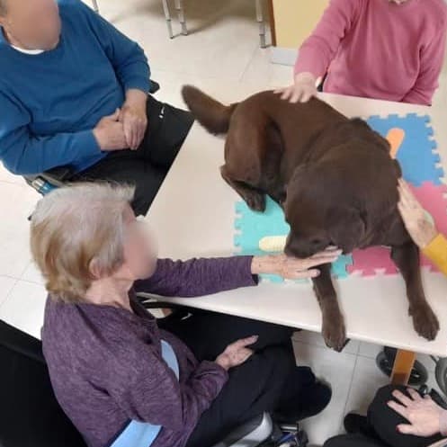 Centros residenciales de personas mayores con La Llobera