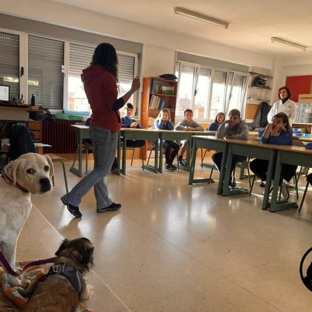 Charlas colegios perrinautas