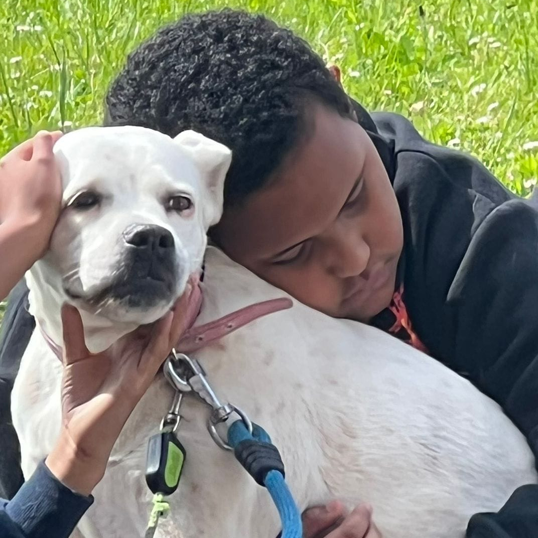 Terapia asistida con perros para menores