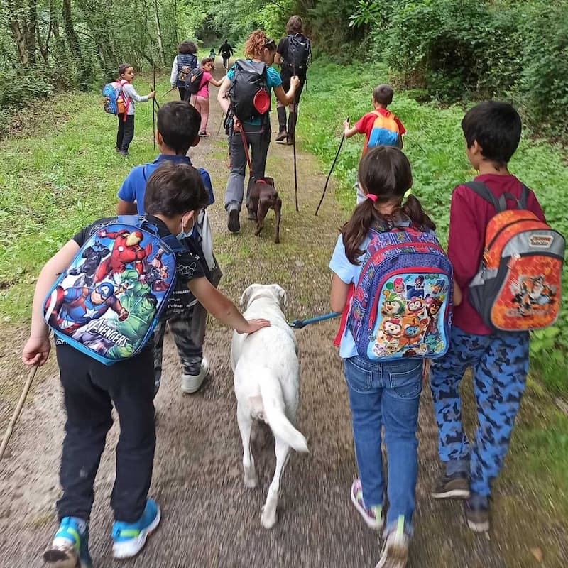 Paseos y rutas con perros en Asturias con la Llobera