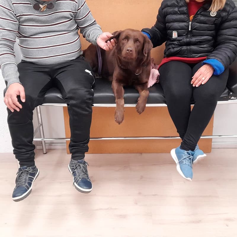 La Llobera en Centros de Salud Mental